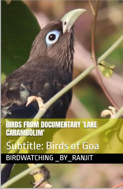 Birds from documentary Lake Carambolim